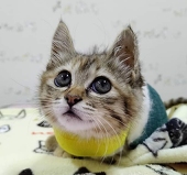 みるらみ