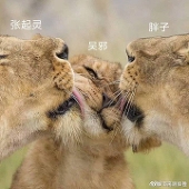 涅白