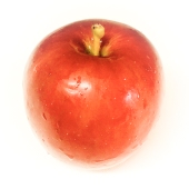 供