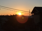 てまり