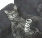 emrrrr
