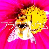桜吹雪銀子