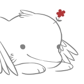 南雀Peafowl