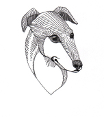 GrayHound