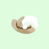 さいみや