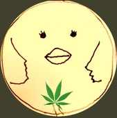 ナガヨ