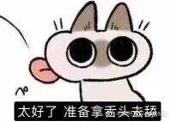 黑七