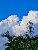 阿部かぼす