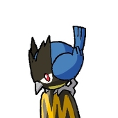 ｺｲﾇﾏ