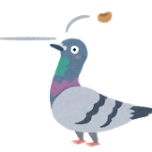 鳩鳥九