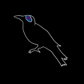 カラスマクロウ