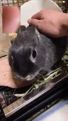 ゆきんこ