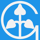Gra