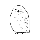 yuko