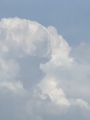 lospuf