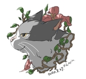 屘熊