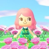 木蓮