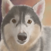 夜狗