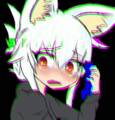 Ota