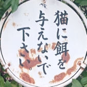 牛乳