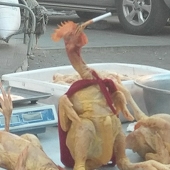 我没事 我溜达
