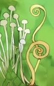 虚