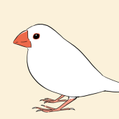 アキカワ