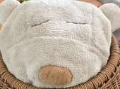 いかみんチカ