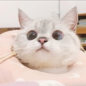 Watermelon不甜不要钱
