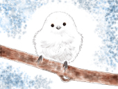 もふどり