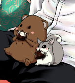 ソワカ@