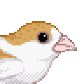 ゆずぽん
