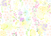 木染 はな