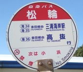 中原左近