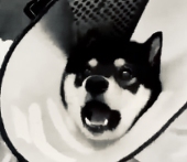 桶谷