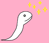 いと