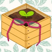 ココナin the box