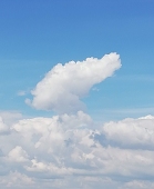 かなすた