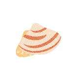 はまぐり