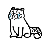 말랑말량양말