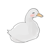 春野アヒル