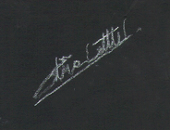 LittleLark
