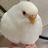 753（しめぞう）