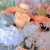 蝶蝶子