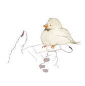 cotori