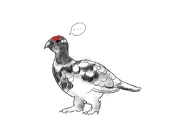 松しん