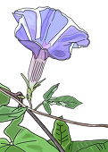 枡久野恭(ますくのきょー)