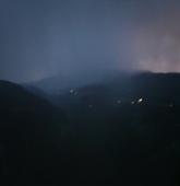 雨林