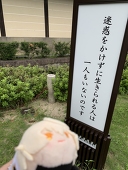 あいの