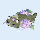 🌸雑巾@虹垢🌸
